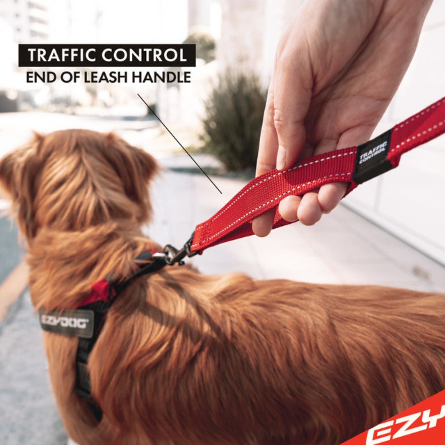Zero Shock Absorbing Dog Leash - short