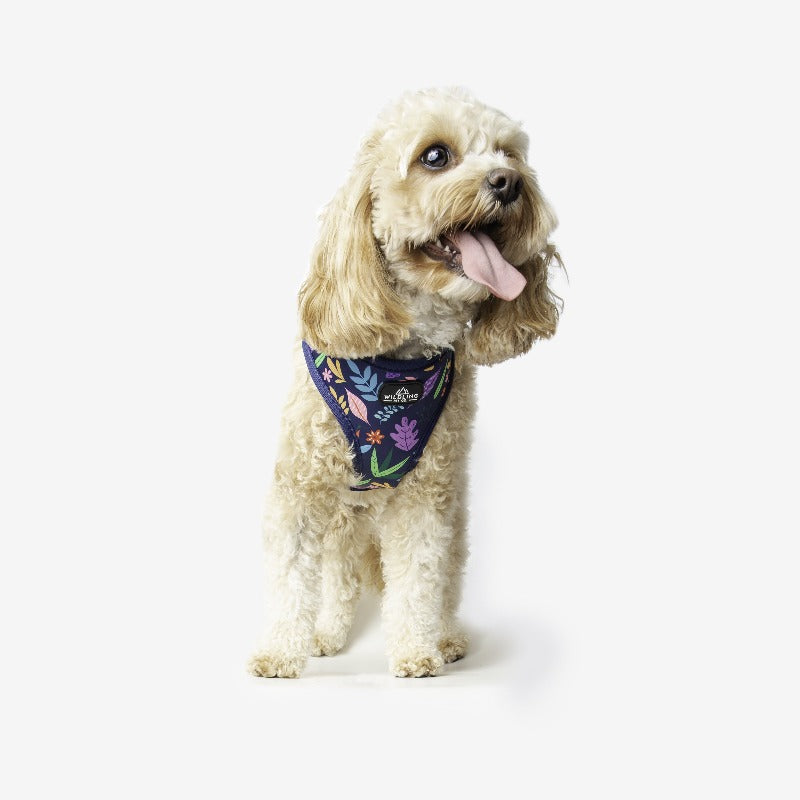 Flora fixed Dog Harness