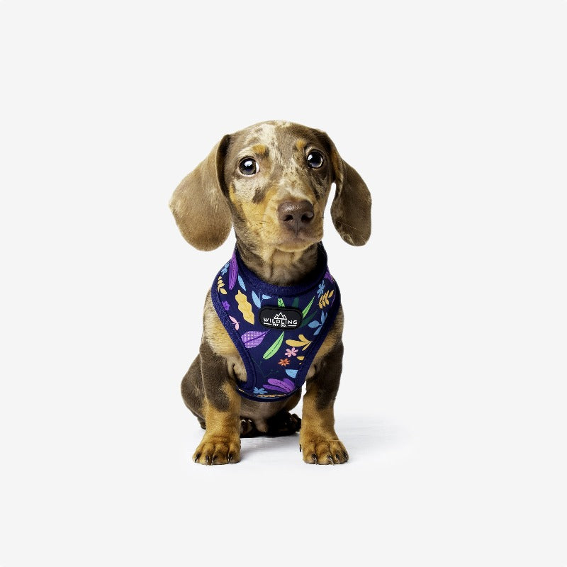 Flora fixed Dog Harness