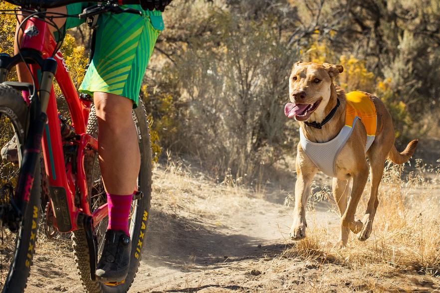 Ruffwear Jet Stream Cooling Vest | Peticular