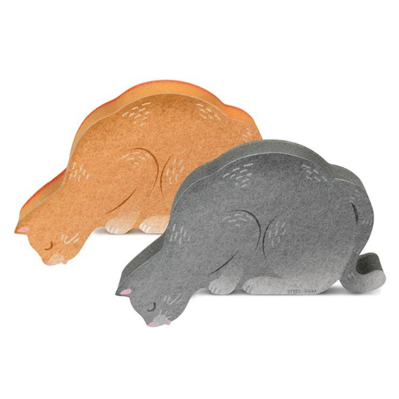 Sponge feeding kittens on sale