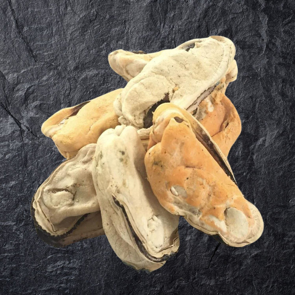 Freeze Dry Australia NZ Green Lip Mussels Treats For Cats & Dogs