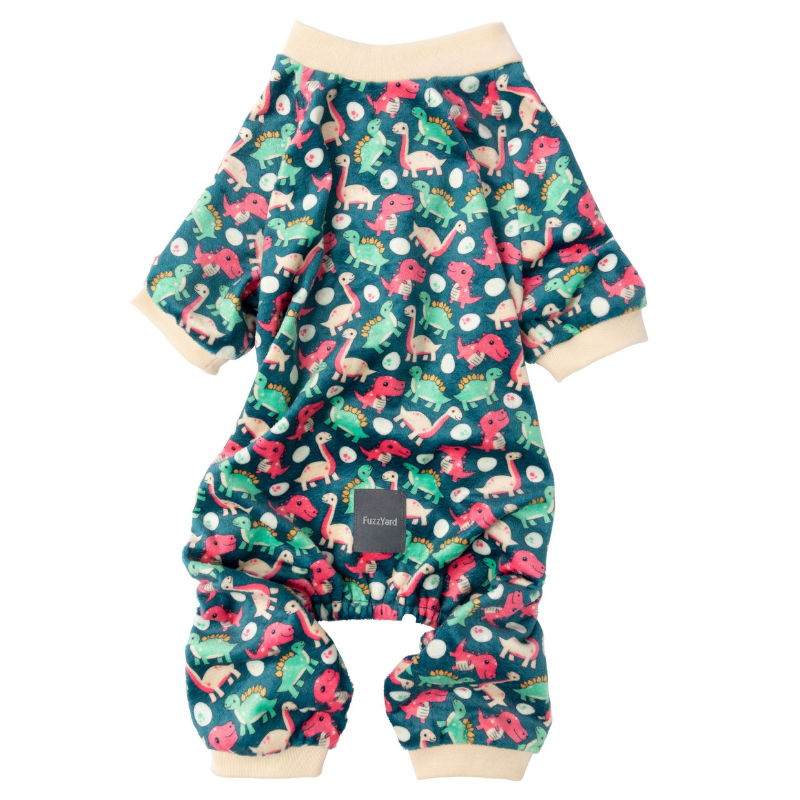 Dinosaur Land Onesie Pyjamas