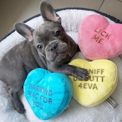 Candy Hearts Plush Dog Toys