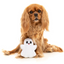 Halloween Plush Dog Toy | 2 Cute 2 Spook Ghost