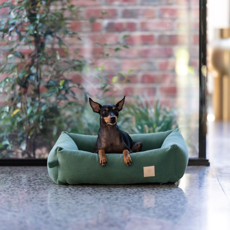 Corduroy Dog Bed | Myrtle Green