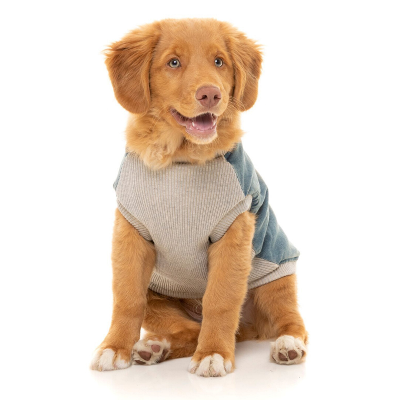 FuzzYard Denim MacGyver Dog Jacket | Peticular