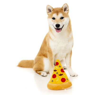 Pizza Plush Dog Toy