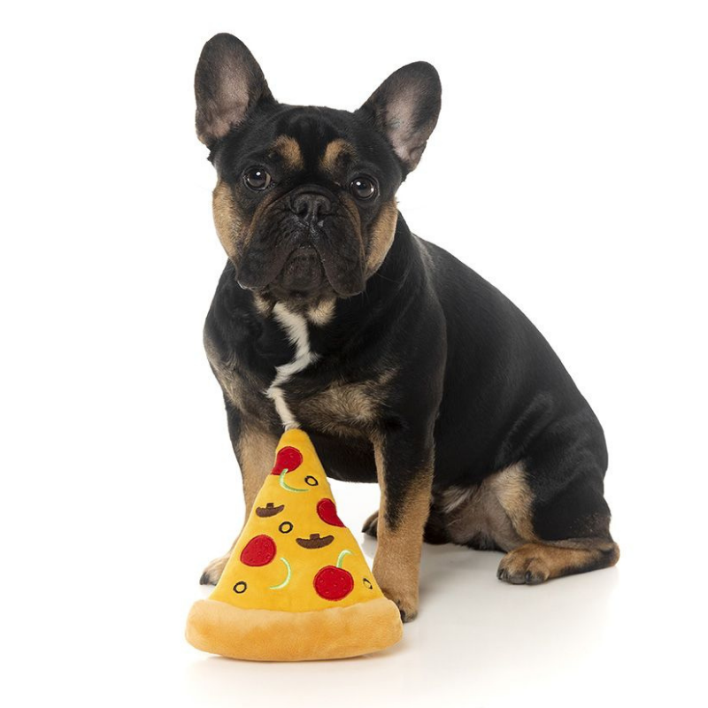 Pizza Plush Dog Toy