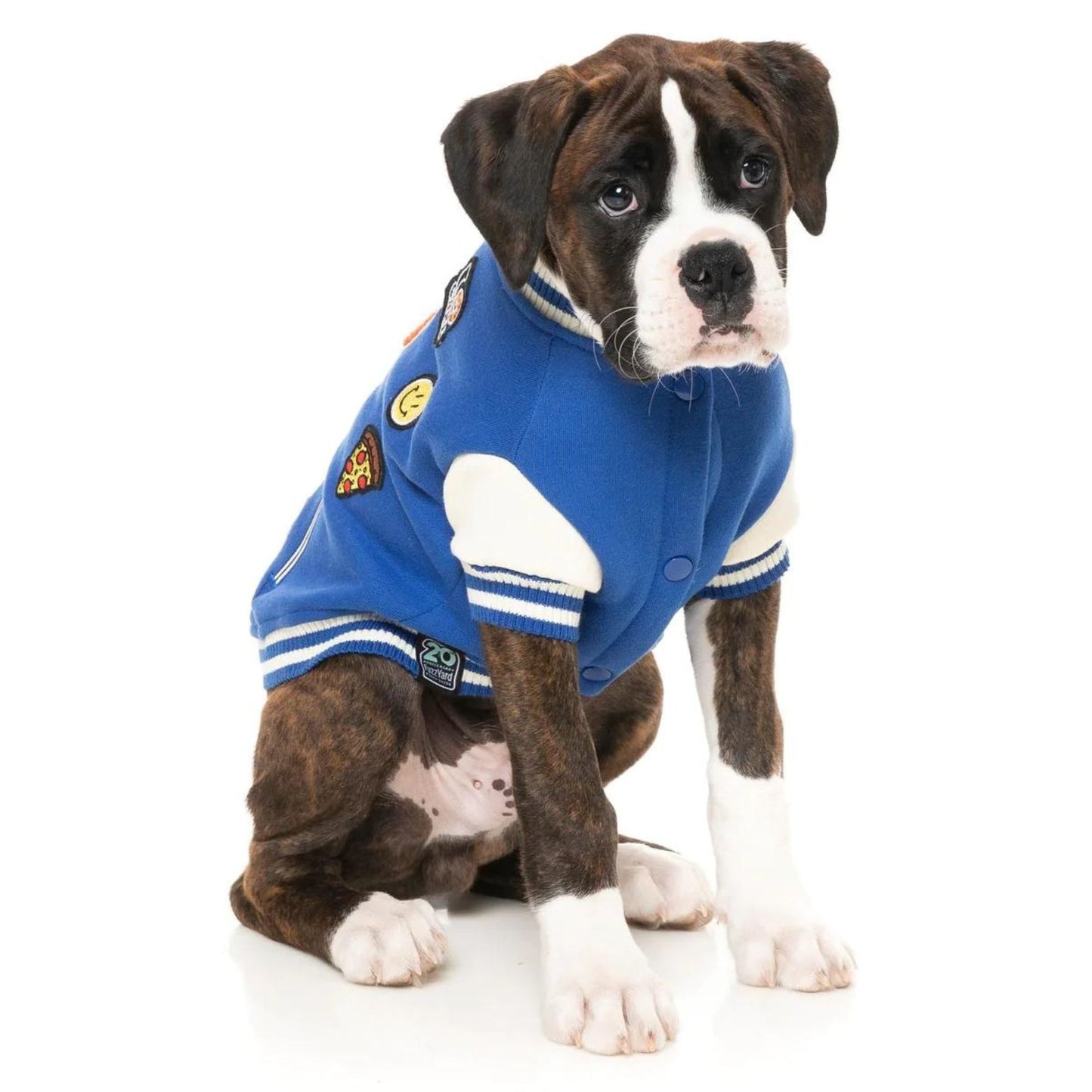 The Letterman Dog Jacket | Blue