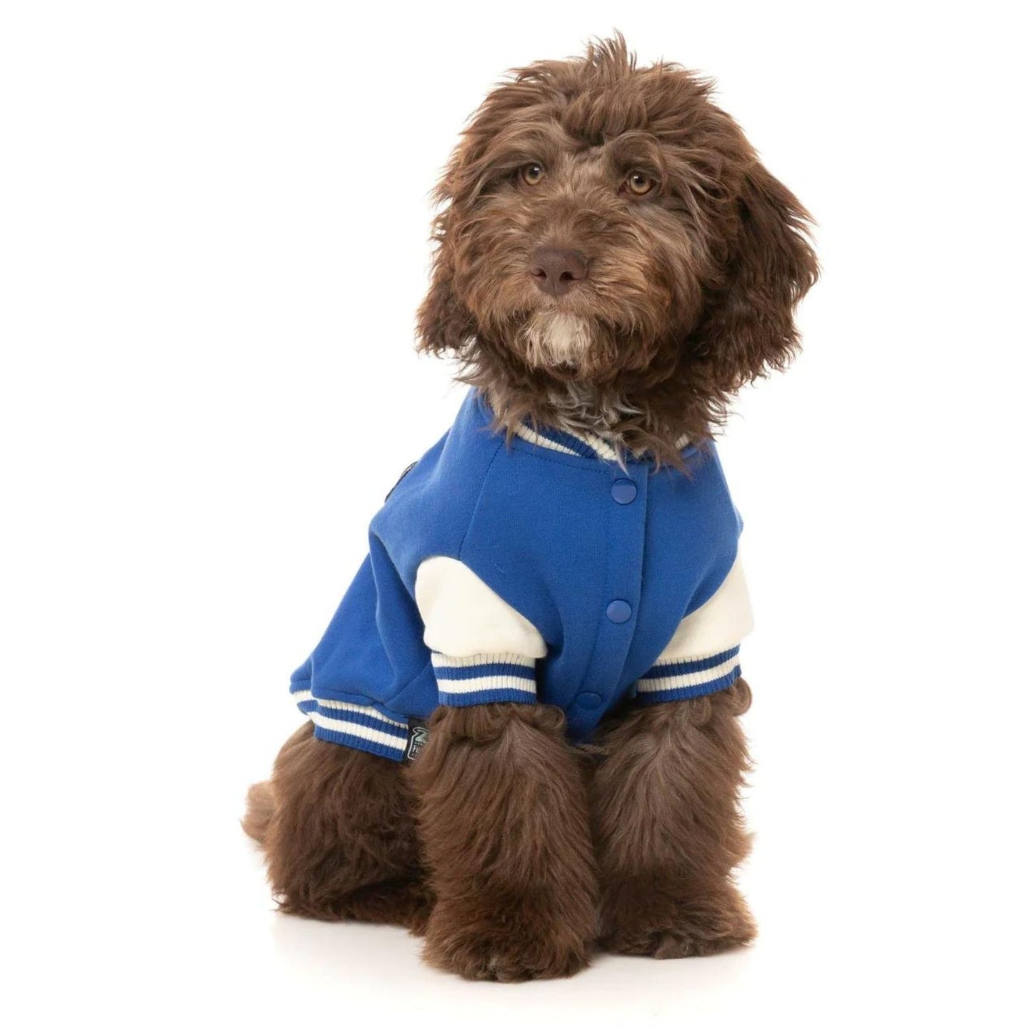 The Letterman Dog Jacket | Blue