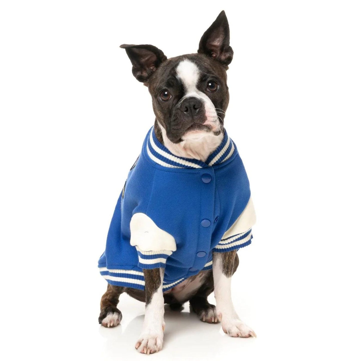 The Letterman Dog Jacket | Blue