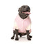 The Letterman Dog Jacket | Pink