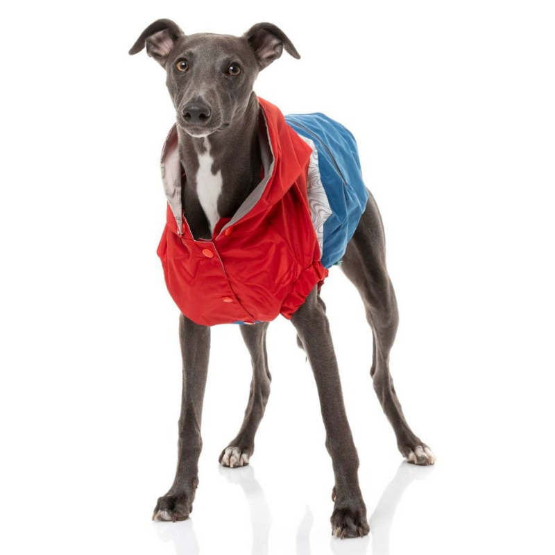 The Seattle Dog Raincoat | Red + Blue