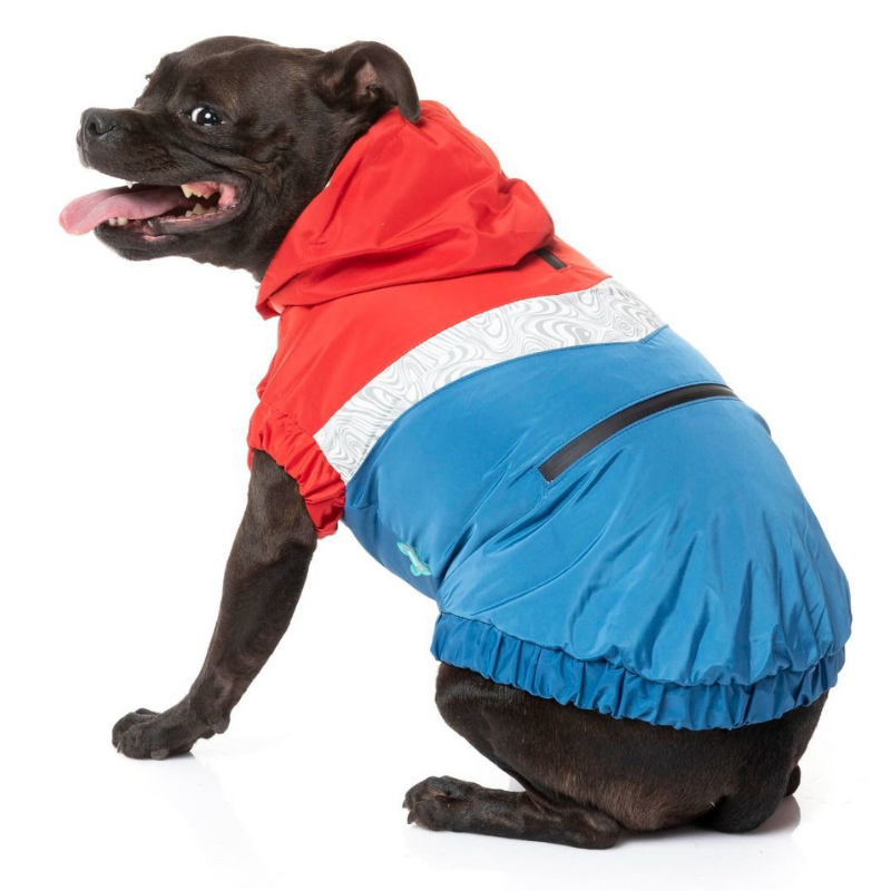 The Seattle Dog Raincoat | Red + Blue