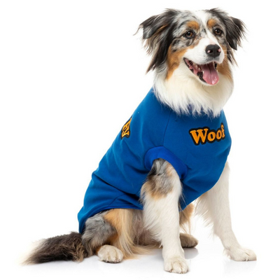The Woof Sweater | Blue