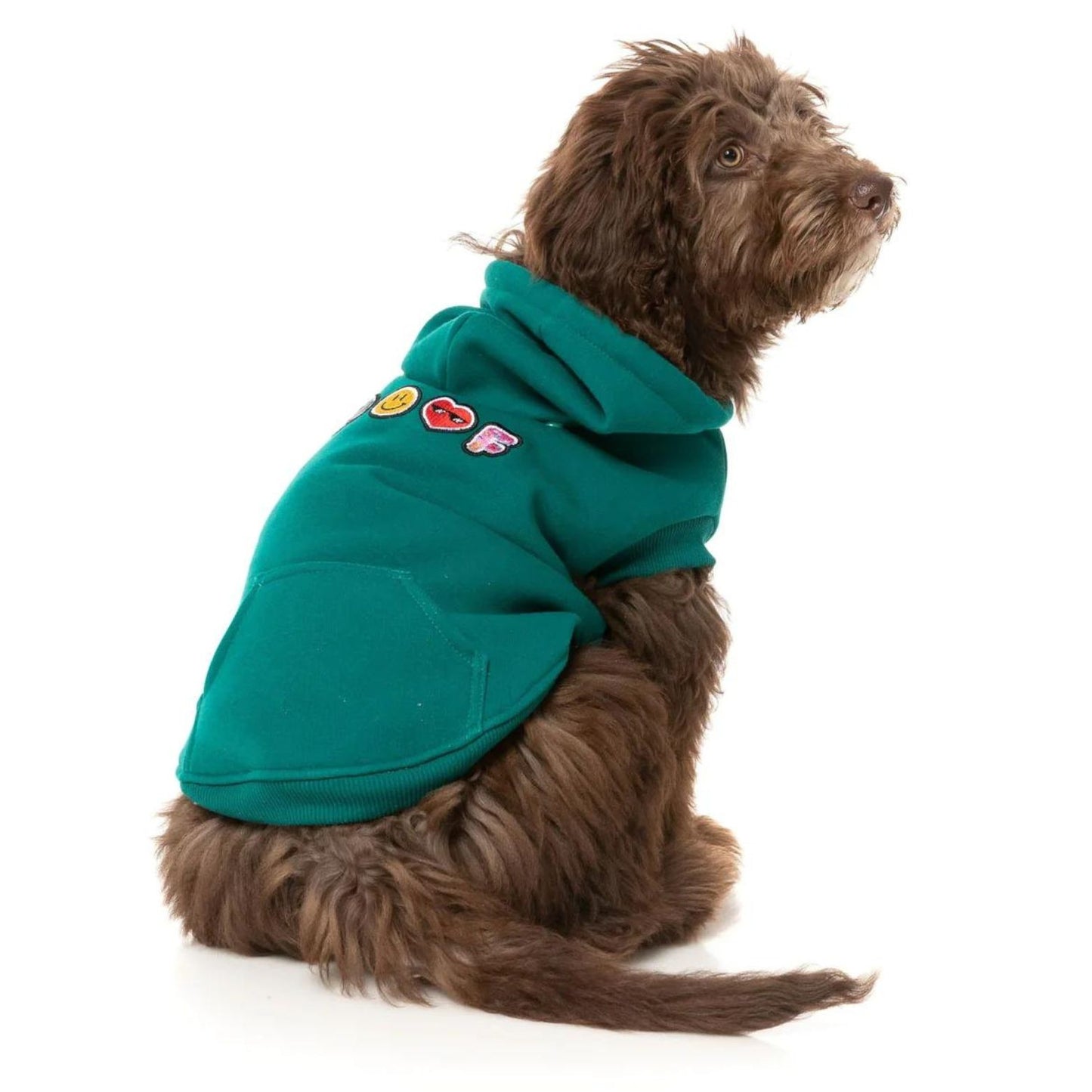 Wooftagram Dog Hoodie | Green