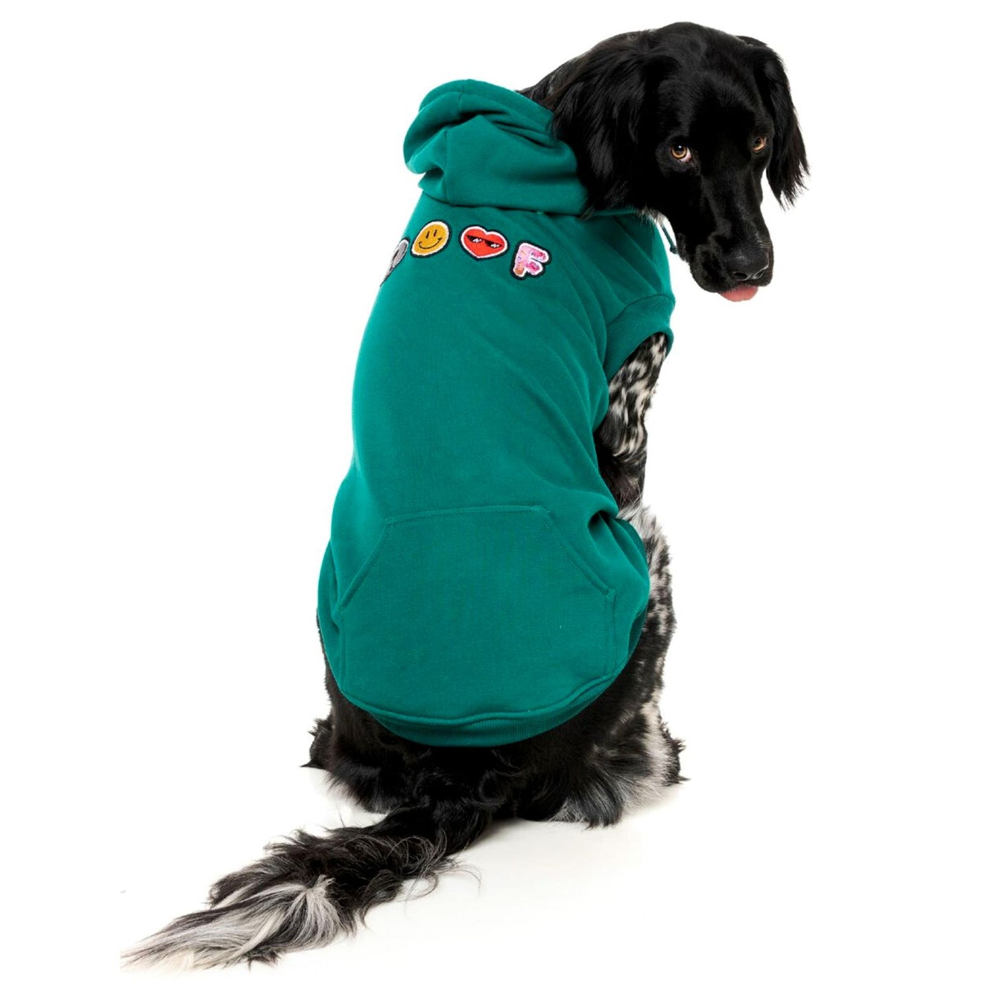 Wooftagram Dog Hoodie | Green