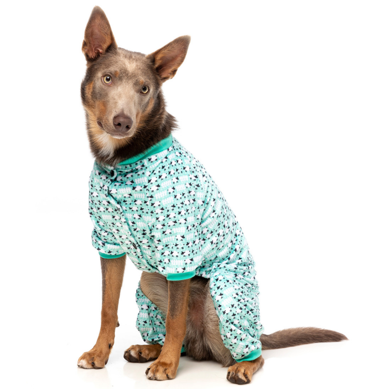 Fuzzyard sales dog pyjamas