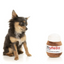 FuzzYard Mutella Plush Dog Toy | Peticular