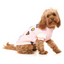 The Letterman Dog Jacket | Pink