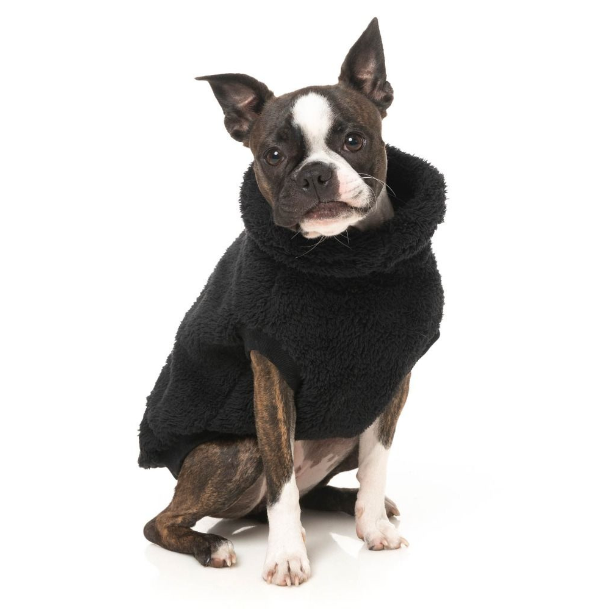 Turtle Teddy 23 Dog Sweater | Black