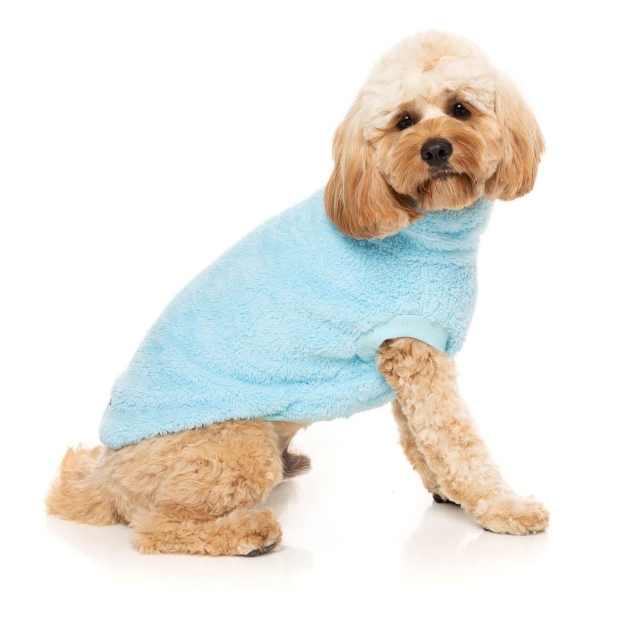 Turtle Teddy 23 Dog Sweater | Blue