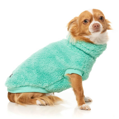 Turtle Teddy Dog Sweater | Teal