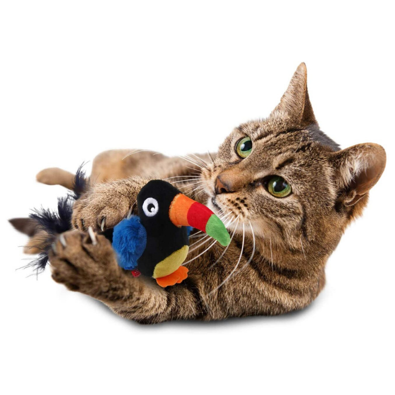 GiGwi Melody Chaser Cat Toy | Toucan | Peticular