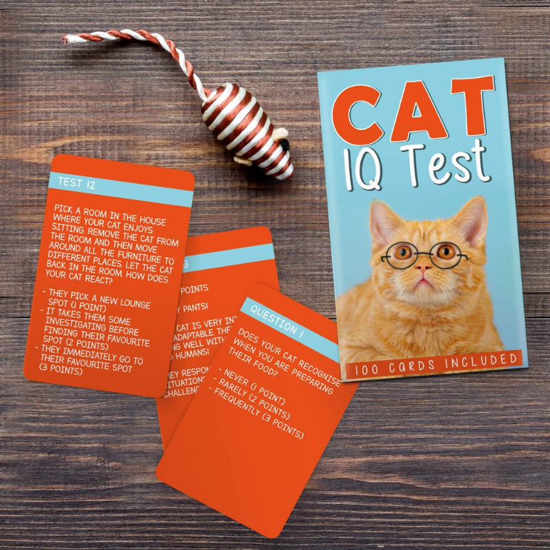 Cat IQ Test