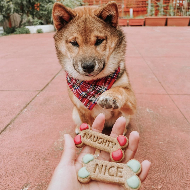 Gourmet Dog Treats | Naughty Or Nice