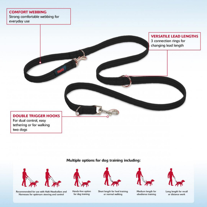 The Company Of Animals HALTI Dog Training Lead | Peticular