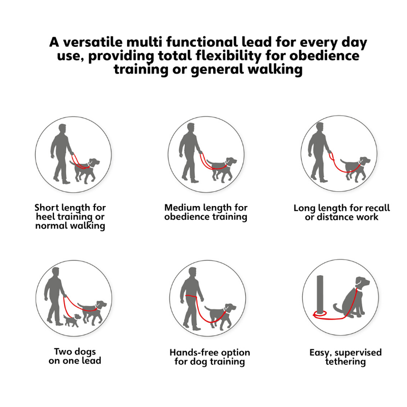 The Company Of Animals HALTI Dog Training Lead | Peticular