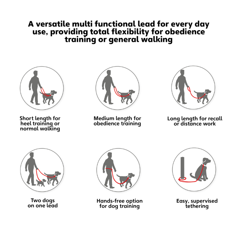 HALTI Dog Training Lead Peticular