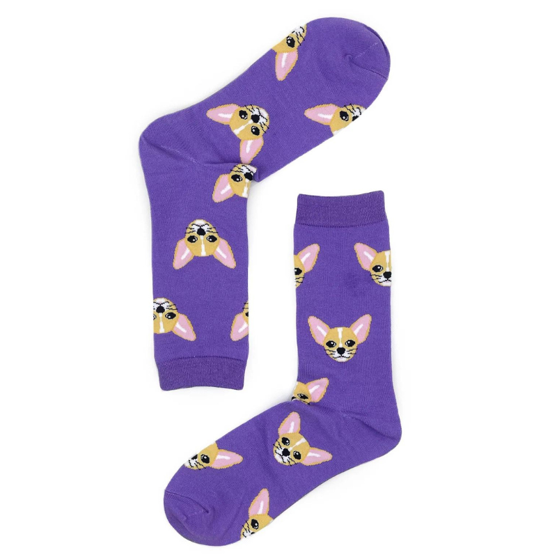 Breed Socks | Chihuahua