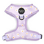 Daisies Of Our Lives Dog Harness - FINAL SALE. NO RETURNS.