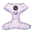 Daisies Of Our Lives Dog Harness