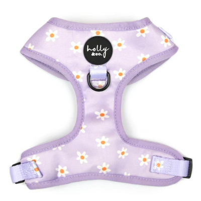 Daisies Of Our Lives Dog Harness - FINAL SALE. NO RETURNS.