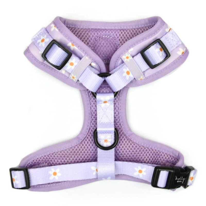 Daisies Of Our Lives Dog Harness - FINAL SALE. NO RETURNS.
