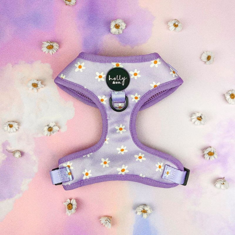 Daisies Of Our Lives Dog Harness - FINAL SALE. NO RETURNS.