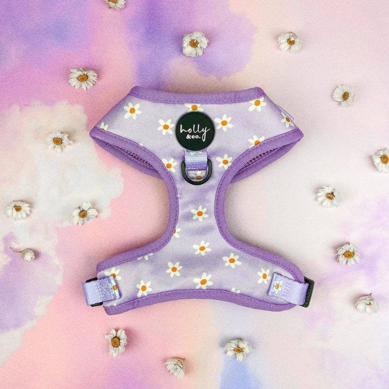 Daisies Of Our Lives Dog Harness