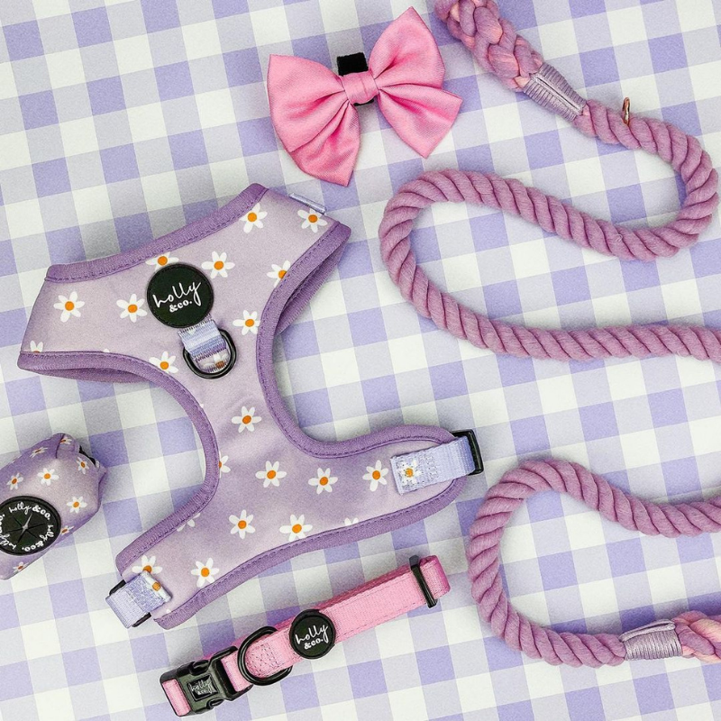 Daisies Of Our Lives Dog Harness - FINAL SALE. NO RETURNS.