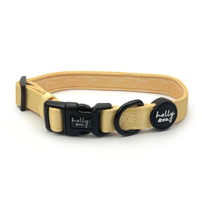 Mellow Yellow Dog Collar