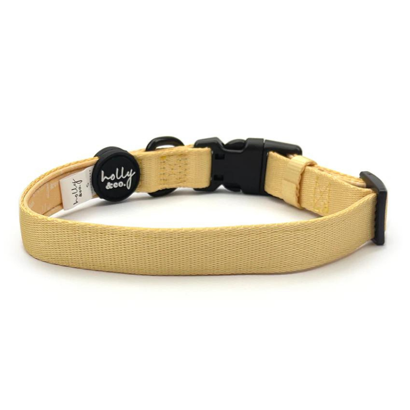 Mellow Yellow Dog Collar