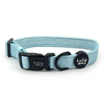 Sky Blue Dog Collar