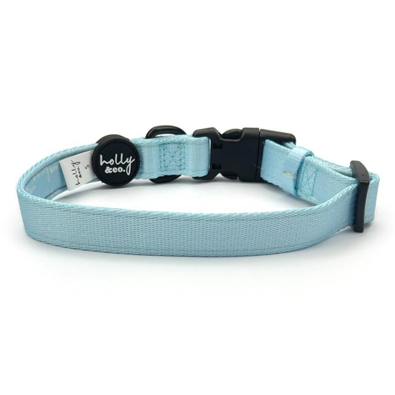 Sky Blue Dog Collar