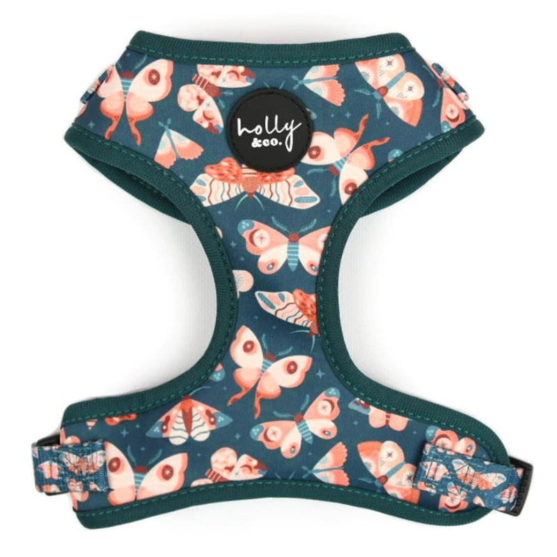 Wings Dog Harness - FINAL SALE. NO RETURNS.