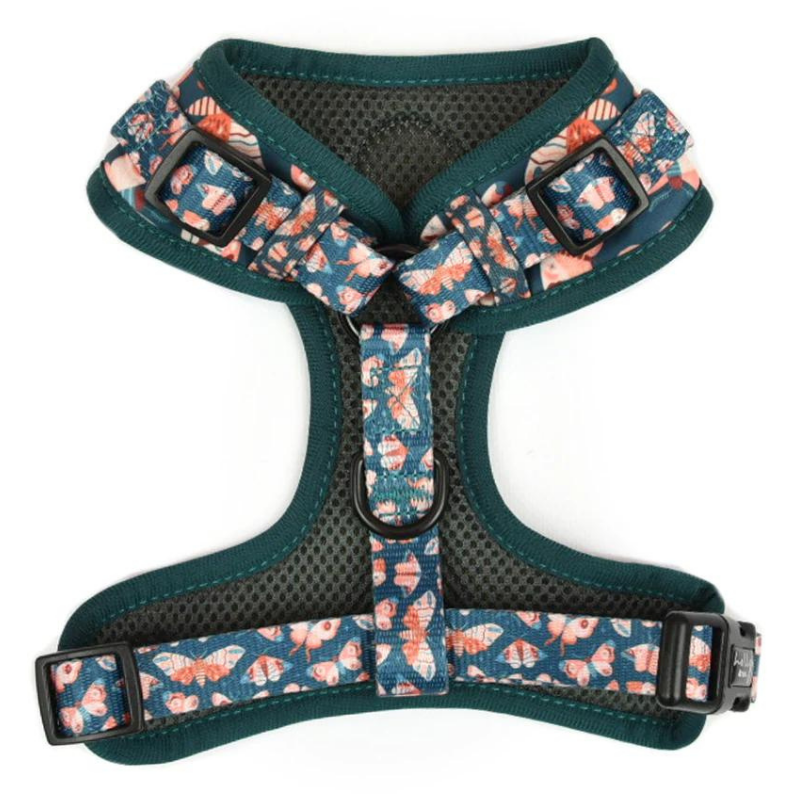 Wings Dog Harness - FINAL SALE. NO RETURNS.
