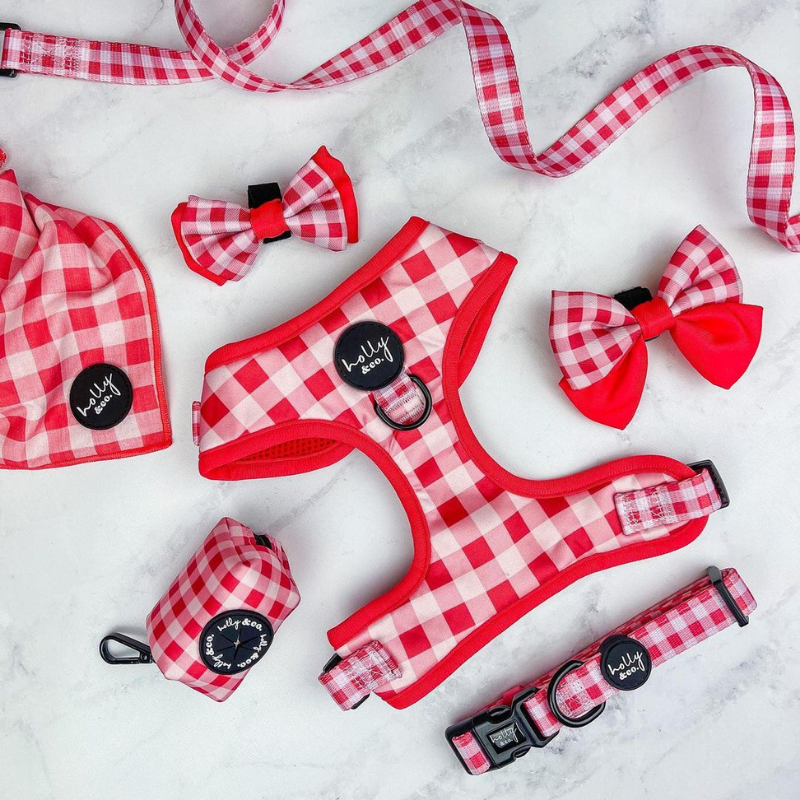 Oppa Gingham Style Dog Harness