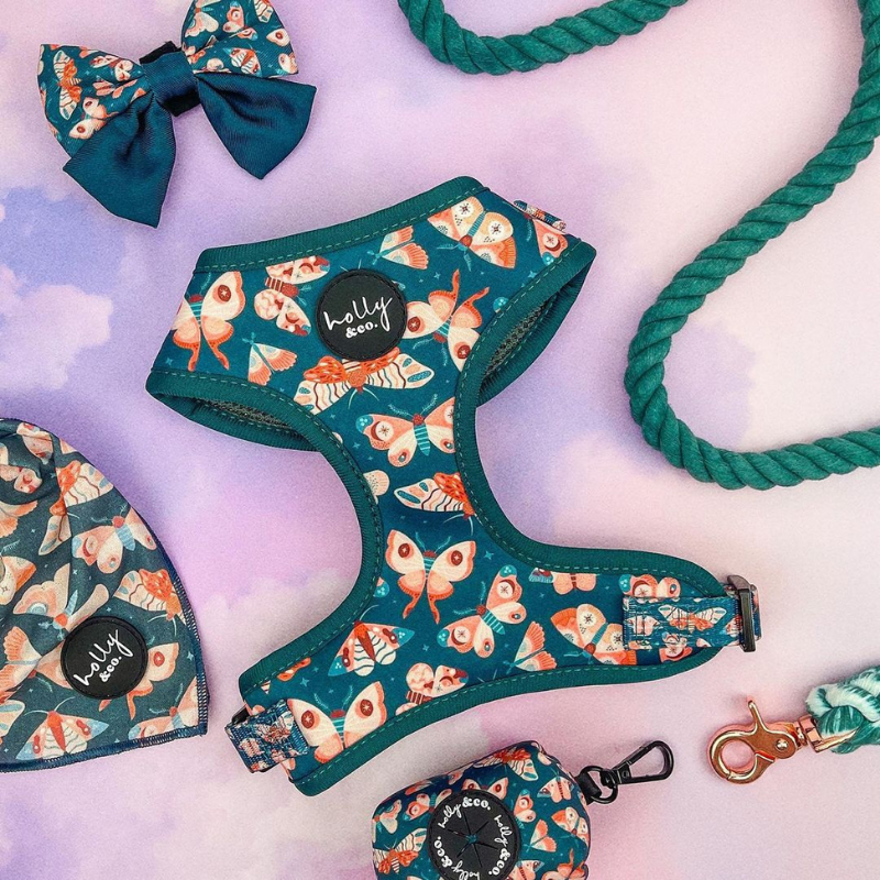 Wings Dog Harness - FINAL SALE. NO RETURNS.